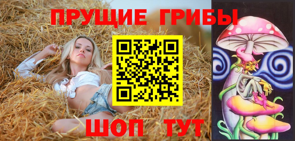 Галлюциногенные грибы Psilocybe  Вход с VPN  Юрга 