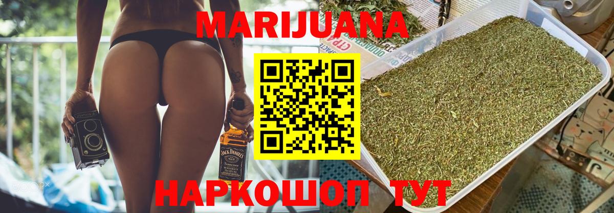 Канабис конопля Юрга